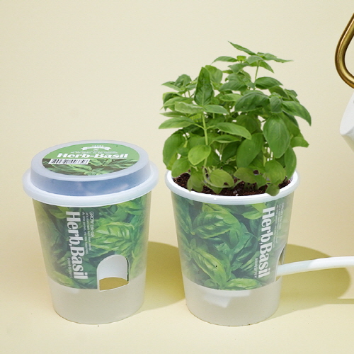 ��ǰ ����