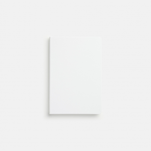 ��ǰ ����