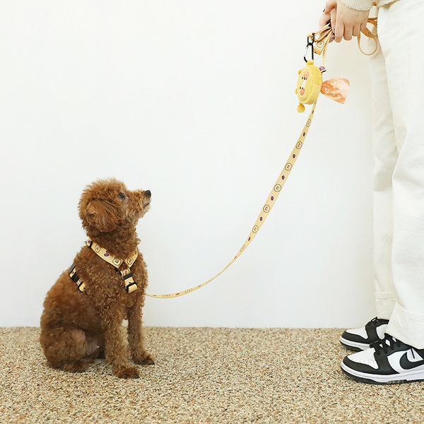 ��ǰ ����