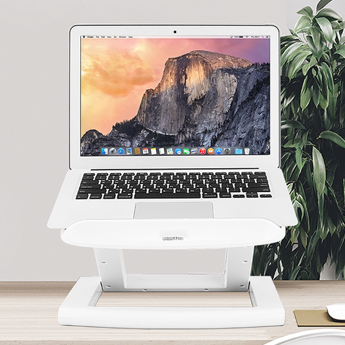 ��ǰ ����