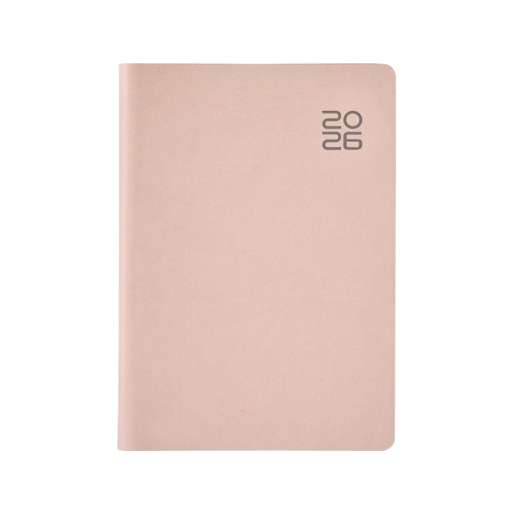 ��ǰ ����