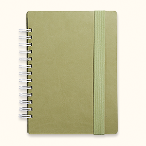 ��ǰ ����