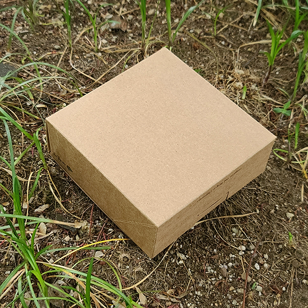 ��ǰ ����