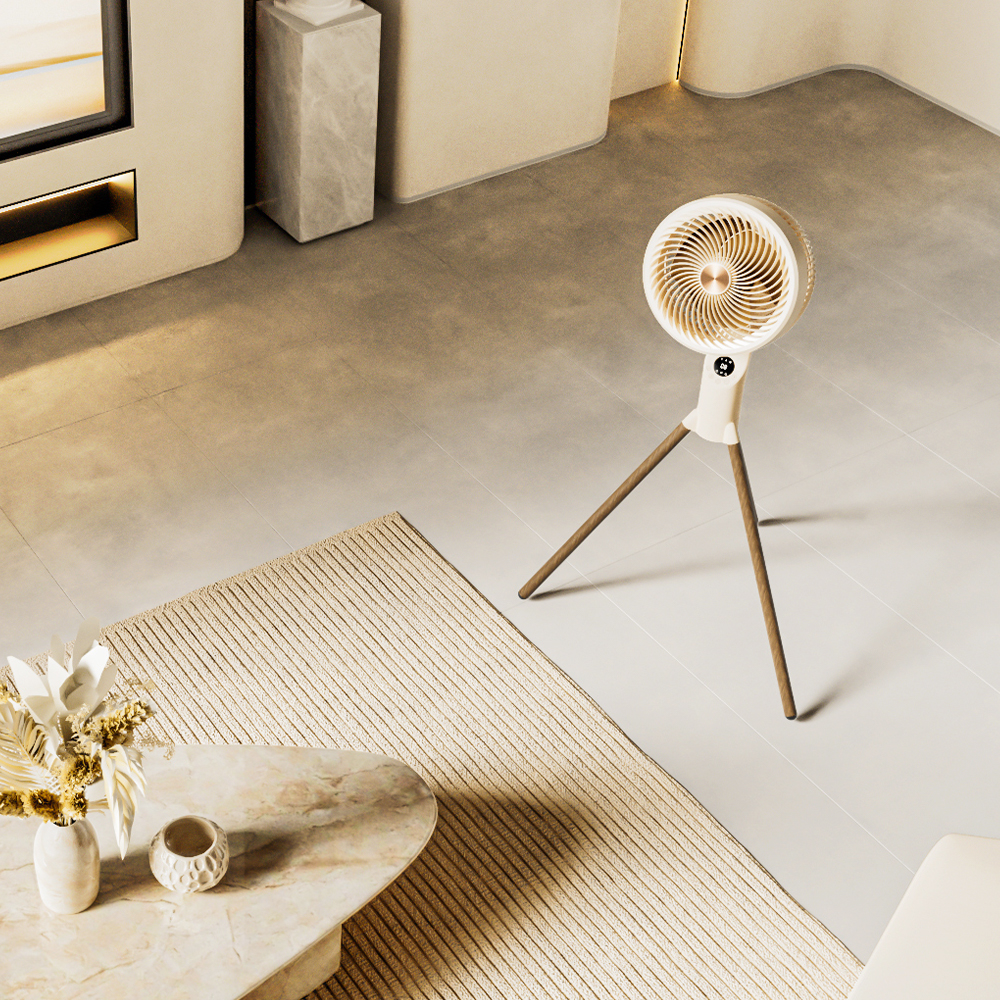 ��ǰ ����