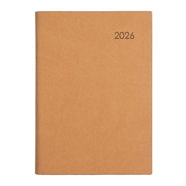 ��ǰ ����