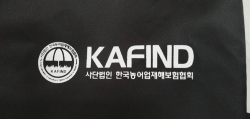 ��ǰ ����