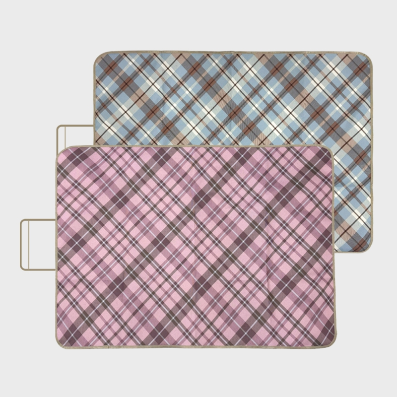 ��ǰ ����