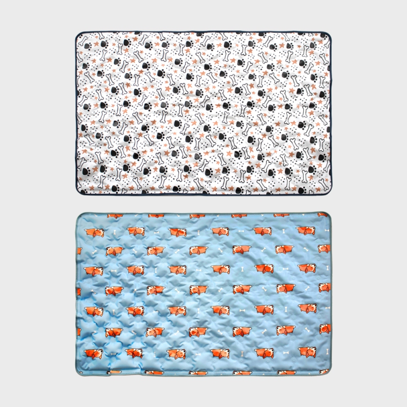 ��ǰ ����