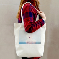 �����ı� �̹���