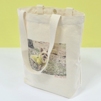 �����ı� �̹���