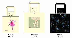 ���� �м� �̿� Ű�� | �ֹ����۹����� ���ڹ�_��ȭ �׸��� ���� 400x390mm