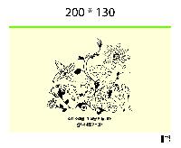 ���� �м� �̿� Ű�� | ���� �Ŀ�ġ_Ǯ�� 200x130mm