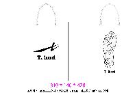 ���� �μ� ������Ʈ | ���̼��ι�_�ܱ����б� 180x75x280mm