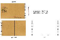 ���̾ ��ø ��Ʈ | �̺���_��������Ʈ