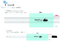 �μ� �þ� �̹��� 7030