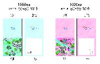 ���� �޸� ��ø �繫 | ����_80*80mm 20��