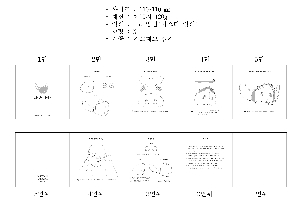 �μ� �þ� �̹��� 7957