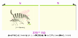 ���� �м� �̿� Ű�� | �ֹ����ۿ��� �Ŀ�ġ_���� �⸰ 260x70x180mm