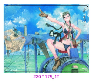 ��ǻ�Ϳ�ǰ | �η�_PVC �������콺�е� 220*175mm