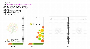 ���̾ ��ø ��Ʈ | ��������Ʈ