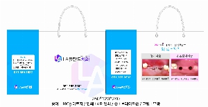 ���ι� | ���̼��ι�_�޸�ũ�������� 150x60x210mm