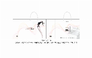 ���ι� | ����� ���̼��ι�_�з����� 2�� 410x150x330mm