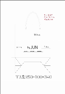 ���ι� | ���� T3ȣ ȭ��Ʈ 250��100��340mm 1����:50��