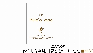 ���ι� | ��� ���ι� LDPE Ÿ�� ������ 300x400mm