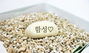 ���� ��� ��� ��Ȱ | �̴�ȭ�� ������ �޽�����