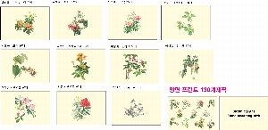 ���� �м� �̿� Ű�� | �ֹ����ۿ��� �Ŀ�ġ_����� 210x90x130mm