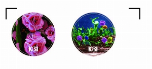 �μ� �þ� �̹��� 16778