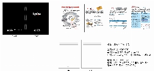 ���̾ ��ø ��Ʈ | �췲��_������Ʈ