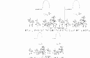 ���ι� | ���̼��ι�_�̳뽺���̽� 250x80x180mm