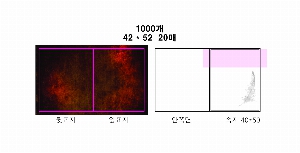 ���� �޸� ��ø �繫 | �ʼ���_60*80mm 20�Ű�����