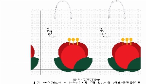 ���� �μ� ������Ʈ | ���̼��ι�_�ѱ����¿��ڷ� 280x100x300mm