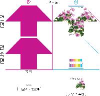 �μ� �þ� �̹��� 19867