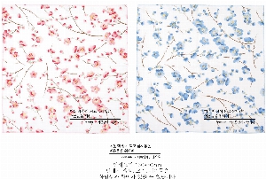 �μ� �þ� �̹��� 21166