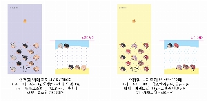 ���� �޸� ��ø �繫 | ��ø�����޸���_ 72*76*18mm