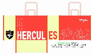 ���� �μ� ������Ʈ | Ÿ��������_�񿡺񽺳������� 510x270x390mm