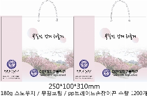 ���� �μ� ������Ʈ | ���̼��ι�_ĳ������ 250x100x310mm