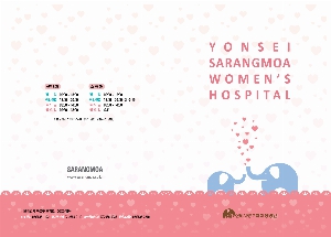 ���̾ ��ø ��Ʈ | ������������ø_ ���ں�