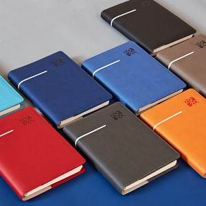 ���̾ ��ø ��Ʈ | 2026 AP4 ������ ���̾ 32�� ������Ʈ�� �Ϸ�� ��Ʋ�� 1P