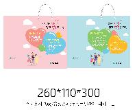 ���� �μ� ������Ʈ | ���̼��ι�_��Ű ���̿��� 280x100x320mm