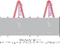 ���� �μ� ������Ʈ | wonderstruck Ÿ�������ι� 390x100x384mm