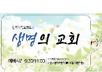 Ƽ�� ��Ƽ�� | ���� ����3�� ��Ƽ�� 10�� 145 X 90 mm