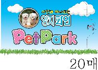 Ƽ�� ��Ƽ�� | �����Ƽ�� 10�� 150x90mm