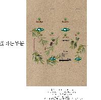 �ڽ� ��Ű�� | Į��ڽ�_��Ʋ 105*205*70mm