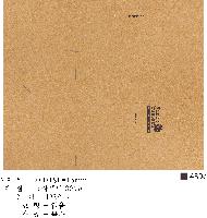 �μ� �þ� �̹��� 31895