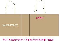 ���� �м� �̿� Ű�� | �ֹ�����M���� ������ ���ڹ� 430x140x400mm