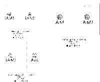 ���� �μ� ������Ʈ | ��� ���ι� LDPE Ÿ�� ������ 300x400mm